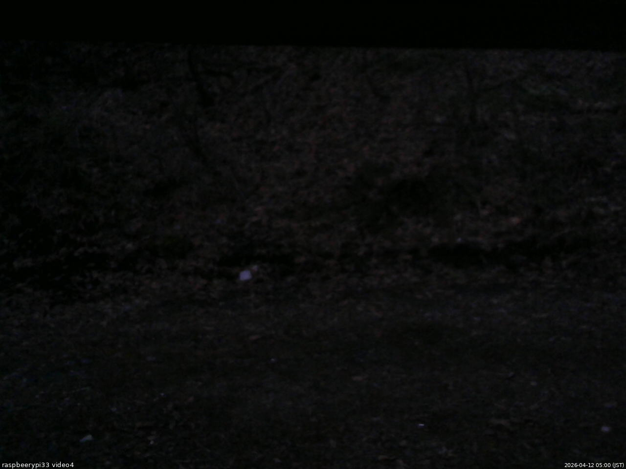 長野県菅平高原 ゆたか山荘 東側(坂下) 2026/04/12 05:00