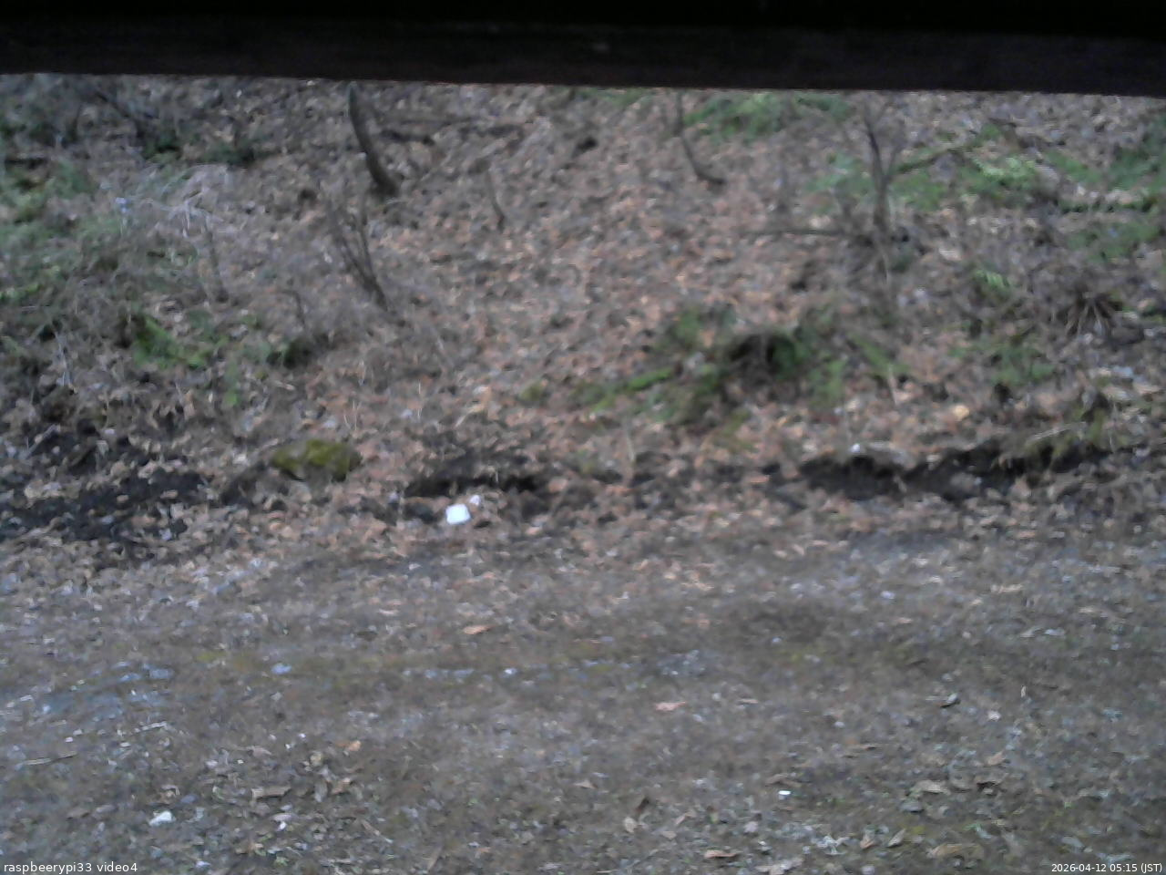 長野県菅平高原 ゆたか山荘 東側(坂下) 2026/04/12 05:15