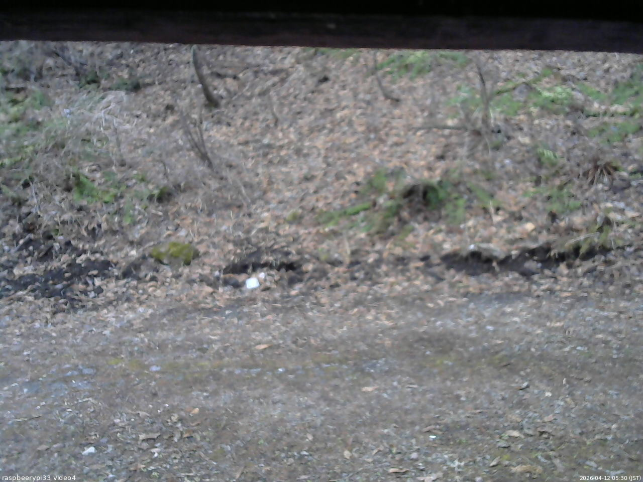 長野県菅平高原 ゆたか山荘 東側(坂下) 2026/04/12 05:30