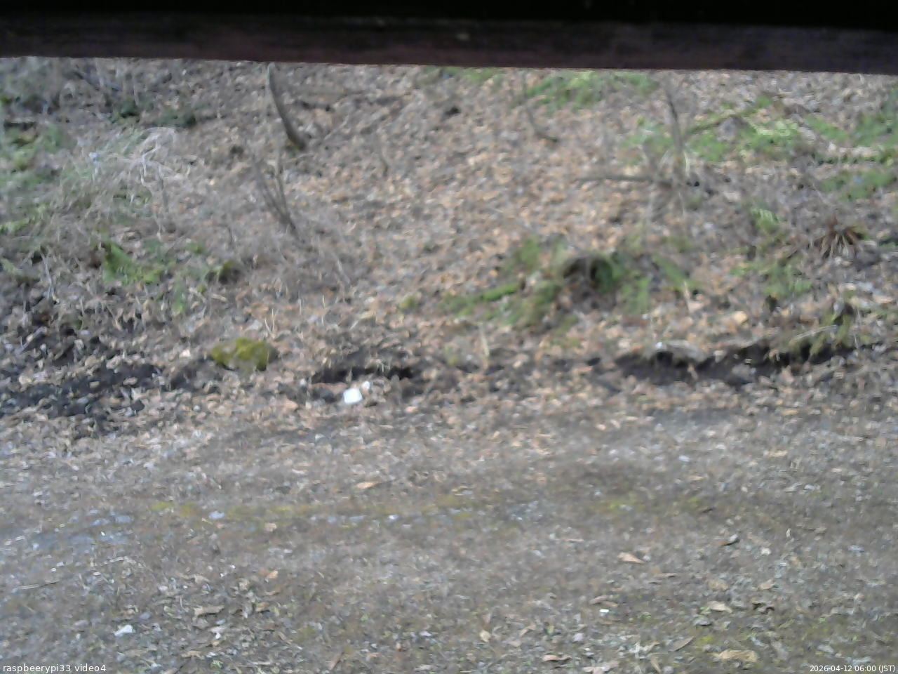 長野県菅平高原 ゆたか山荘 東側(坂下) 2026/04/12 06:00