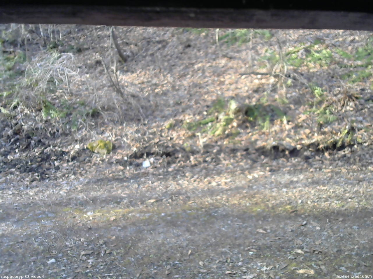 長野県菅平高原 ゆたか山荘 東側(坂下) 2026/04/12 06:15