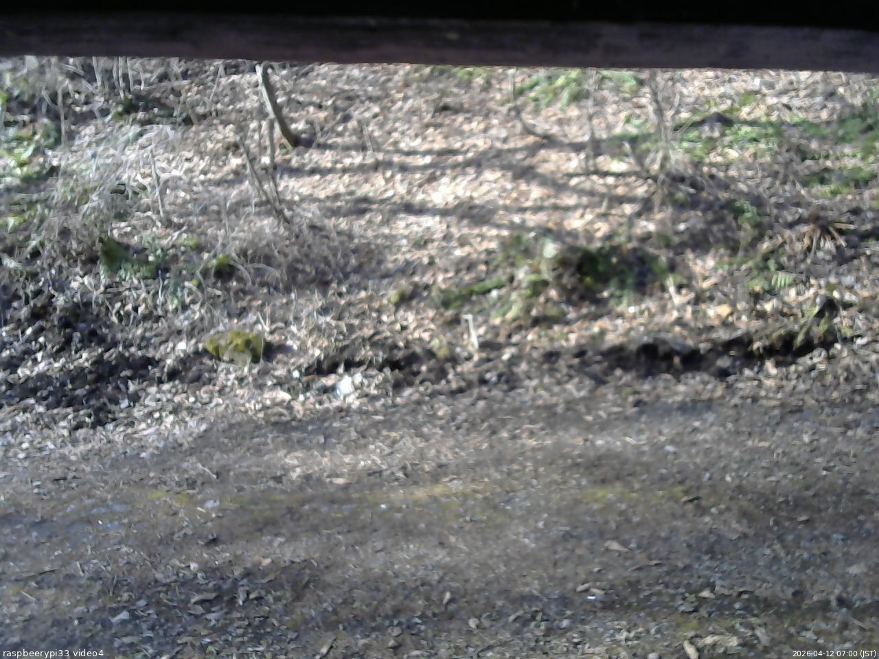 長野県菅平高原 ゆたか山荘 東側(坂下) 2026/04/12 07:00
