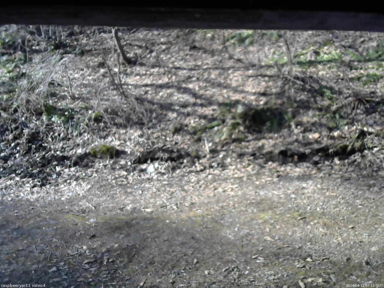長野県菅平高原 ゆたか山荘 東側(坂下) 2026/04/12 07:15