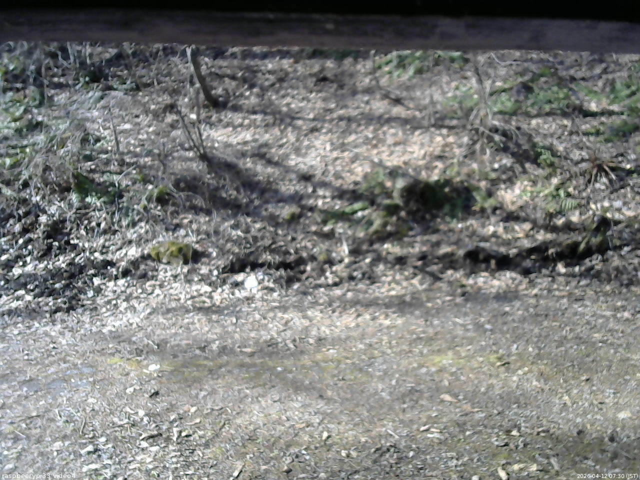 長野県菅平高原 ゆたか山荘 東側(坂下) 2026/04/12 07:30