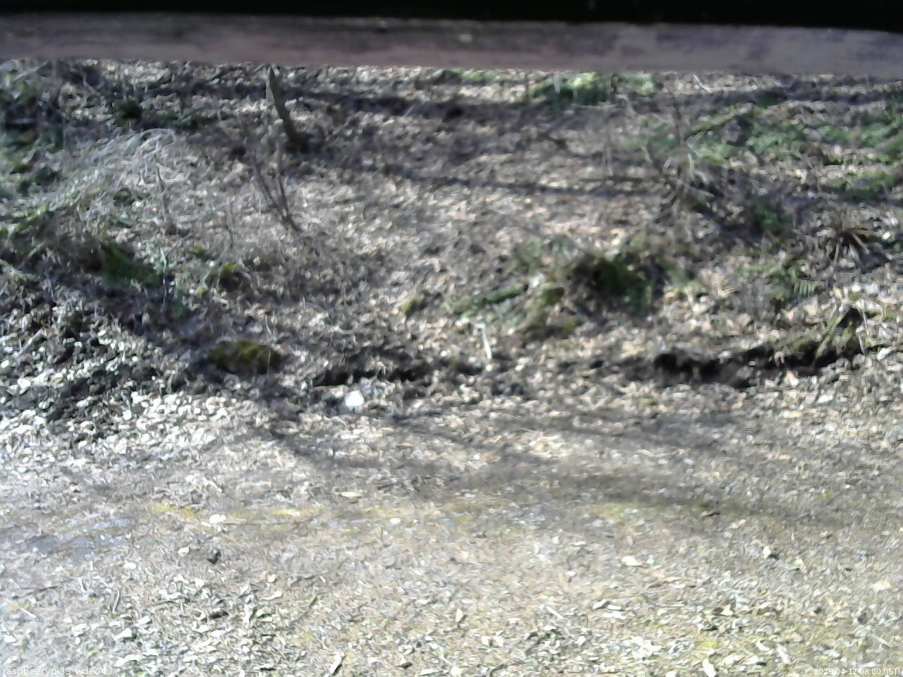 長野県菅平高原 ゆたか山荘 東側(坂下) 2026/04/12 08:00