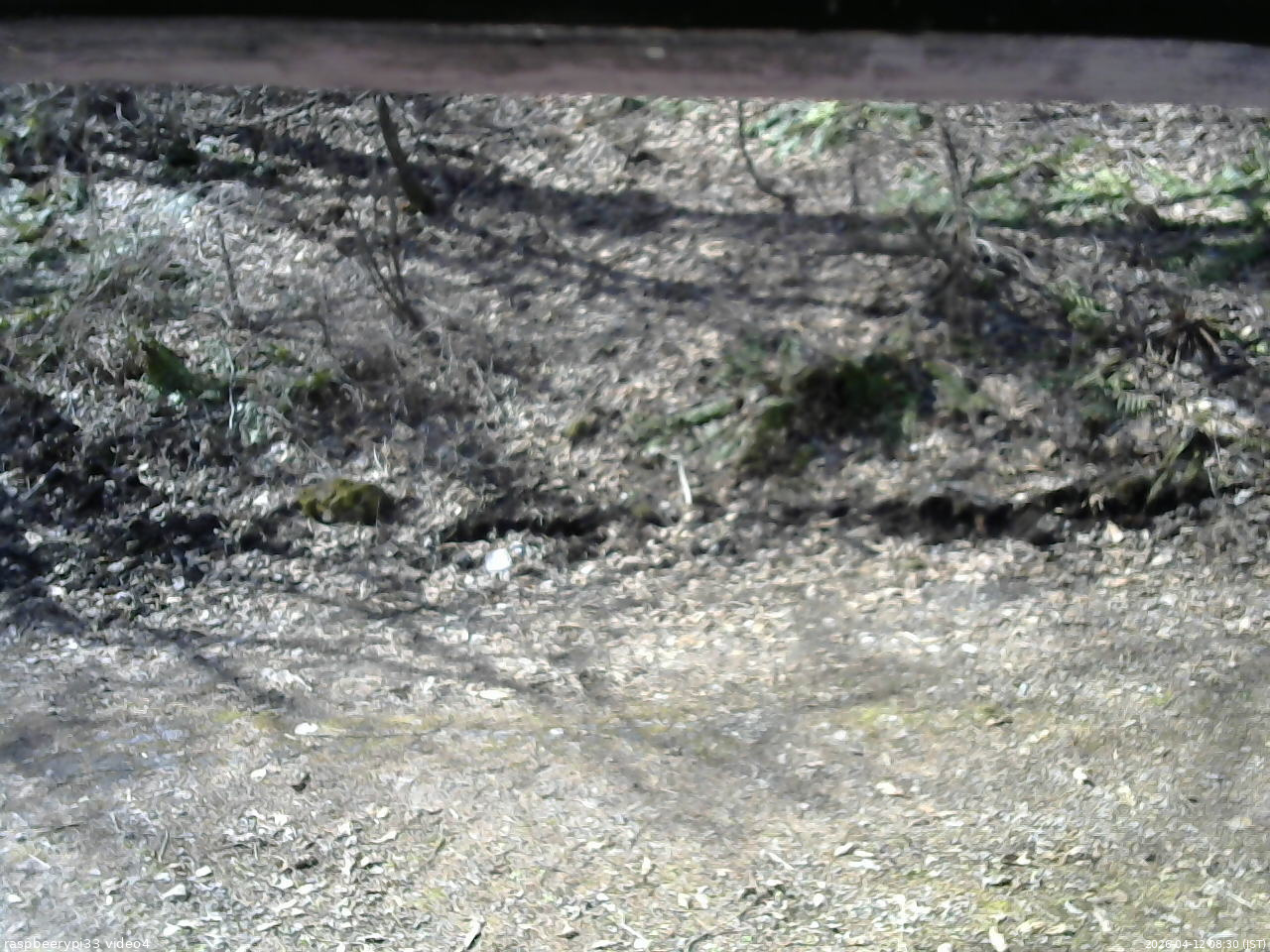 長野県菅平高原 ゆたか山荘 東側(坂下) 2026/04/12 08:30