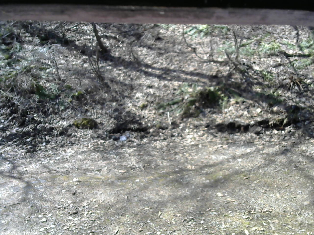 長野県菅平高原 ゆたか山荘 東側(坂下) 2026/04/12 09:00