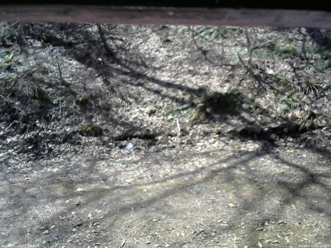長野県菅平高原 ゆたか山荘 東側(坂下) 2026/04/12 09:15