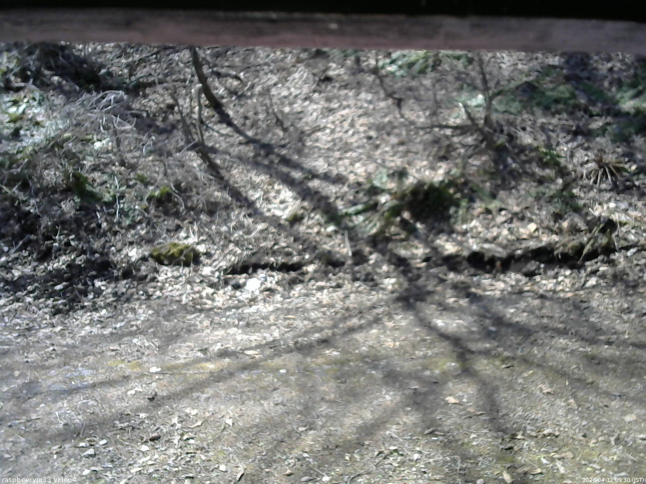 長野県菅平高原 ゆたか山荘 東側(坂下) 2026/04/12 09:30