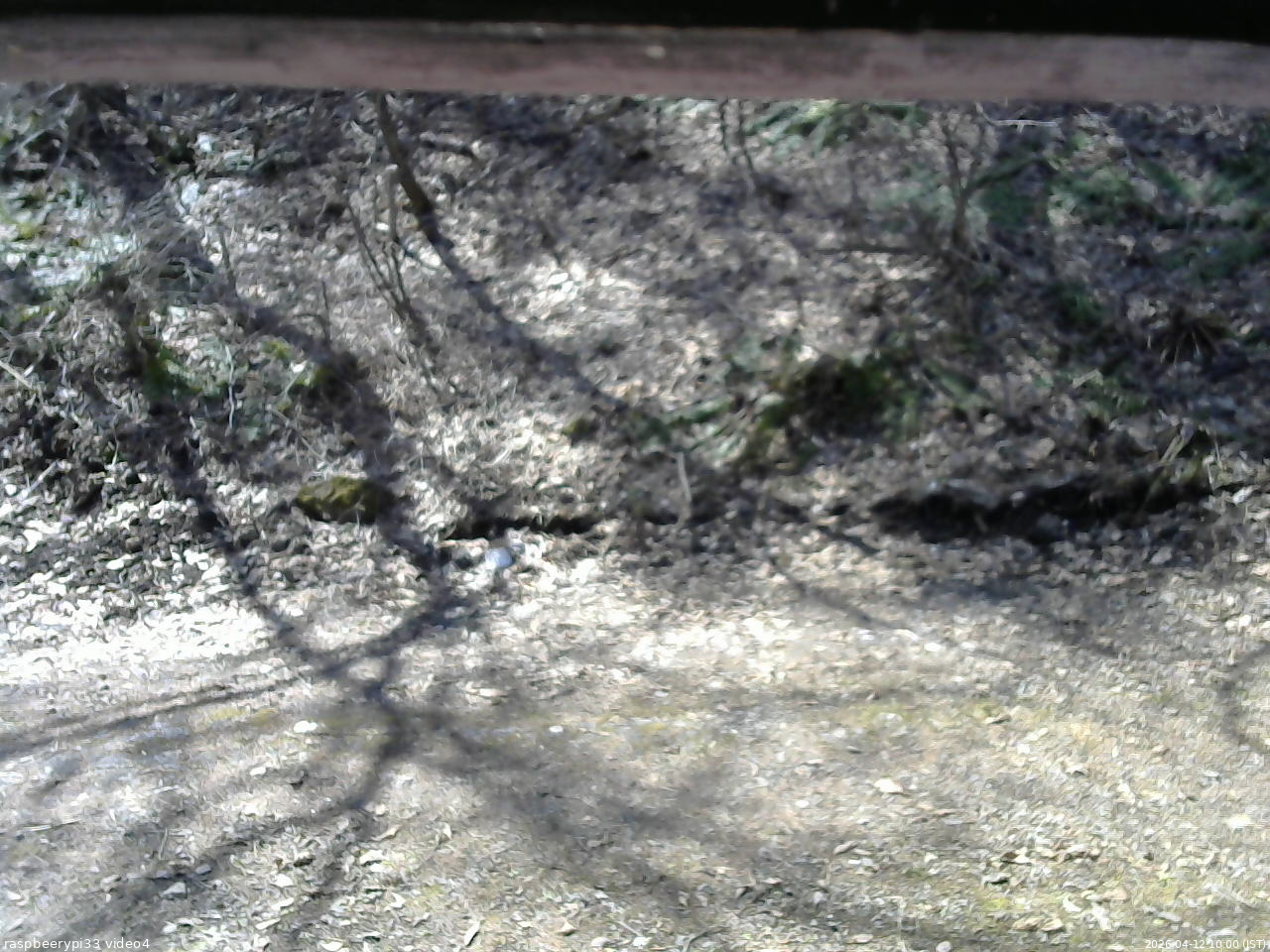 長野県菅平高原 ゆたか山荘 東側(坂下) 2026/04/12 10:00