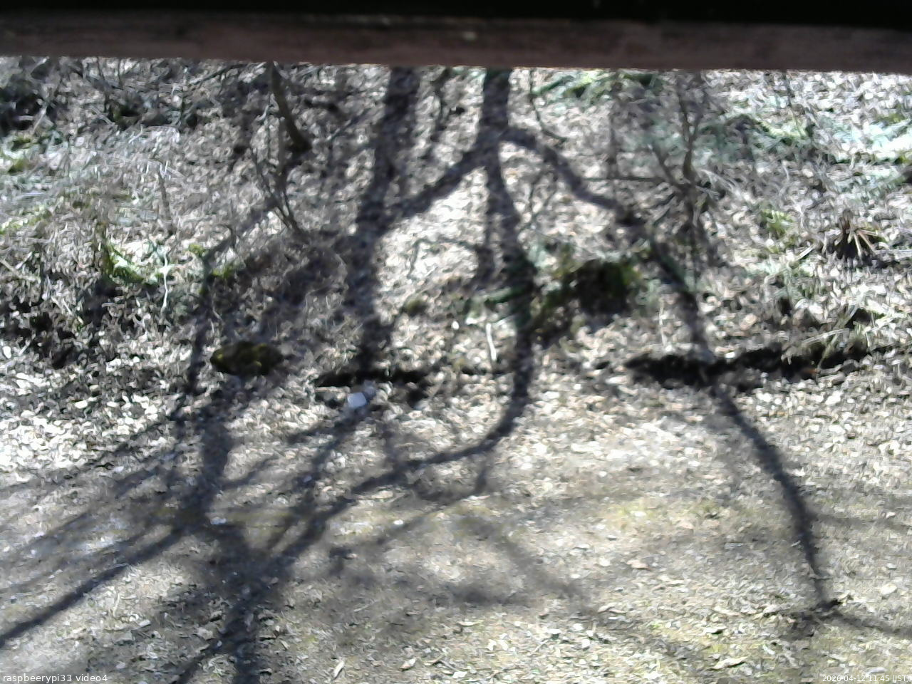 長野県菅平高原 ゆたか山荘 東側(坂下) 2026/04/12 11:45