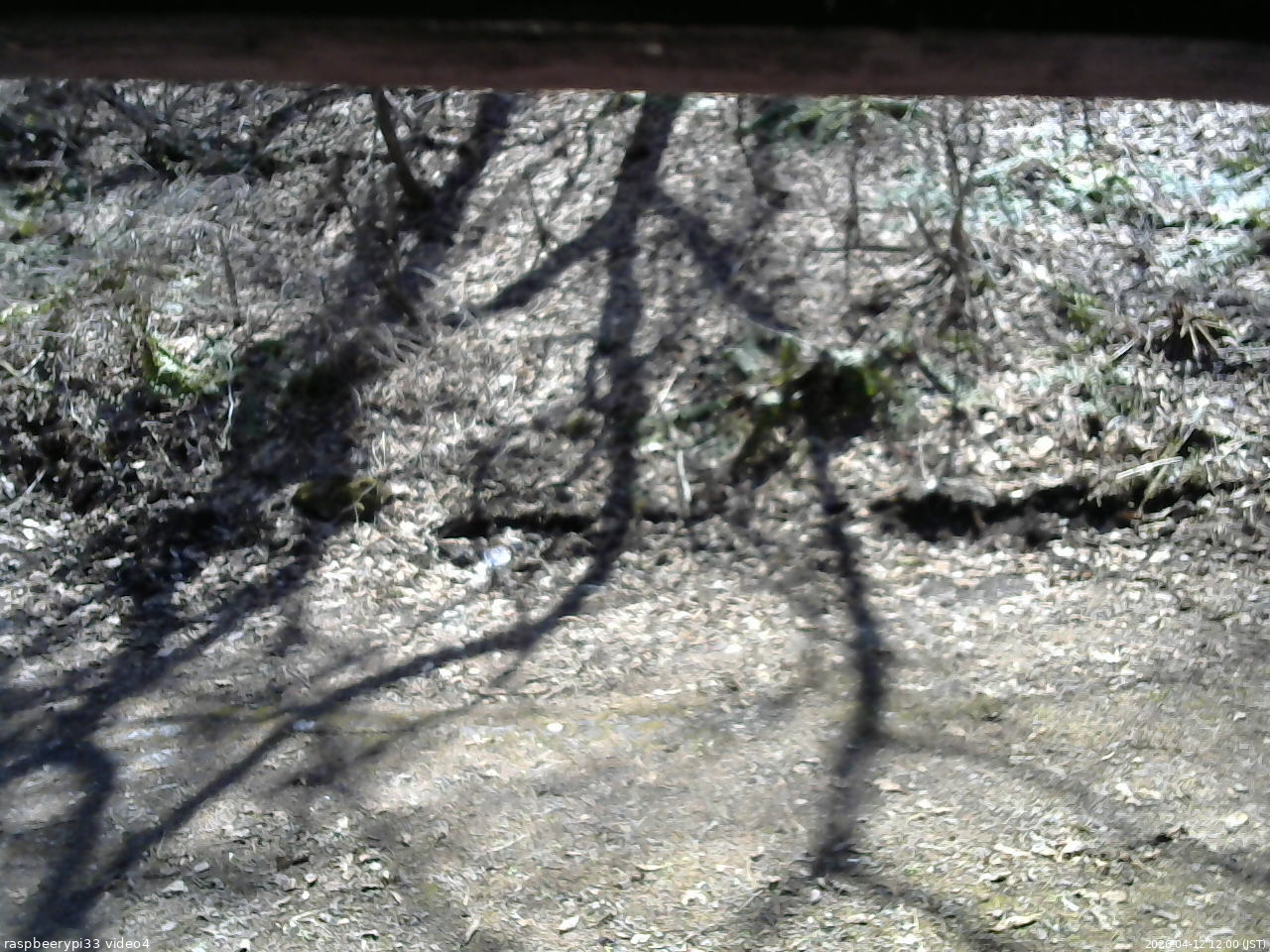 長野県菅平高原 ゆたか山荘 東側(坂下) 2026/04/12 12:00