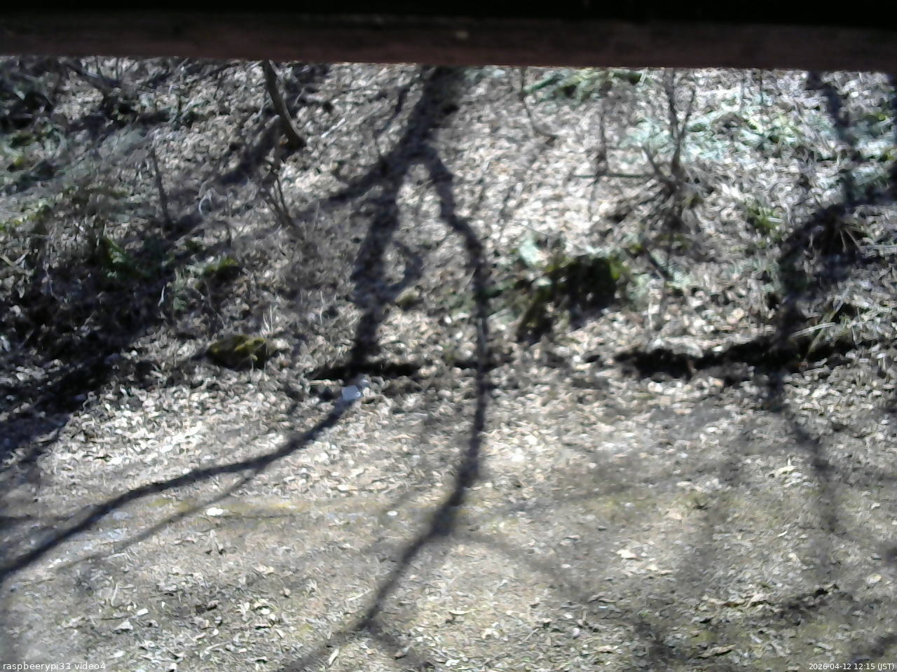 長野県菅平高原 ゆたか山荘 東側(坂下) 2026/04/12 12:15