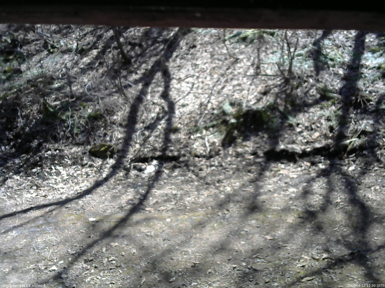 長野県菅平高原 ゆたか山荘 東側(坂下) 2026/04/12 12:30