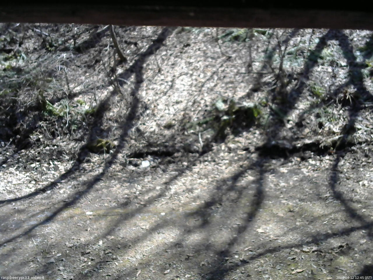 長野県菅平高原 ゆたか山荘 東側(坂下) 2026/04/12 12:45