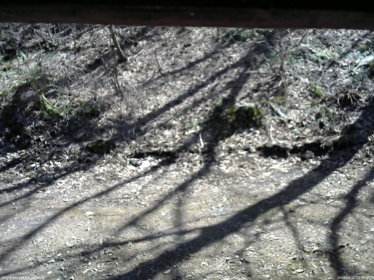 長野県菅平高原 ゆたか山荘 東側(坂下) 2026/04/12 13:30