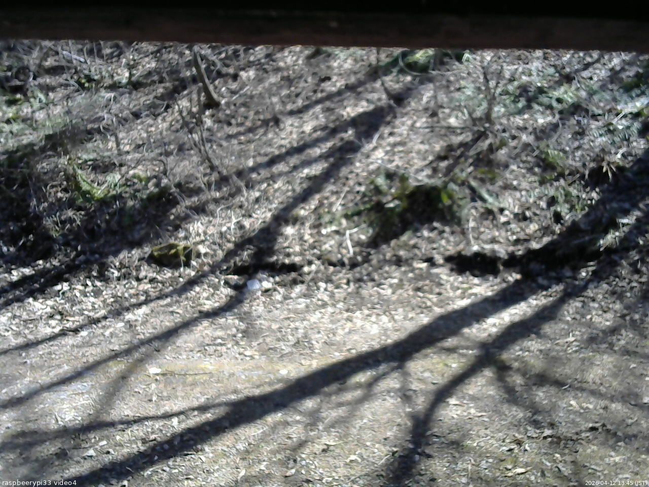 長野県菅平高原 ゆたか山荘 東側(坂下) 2026/04/12 13:45