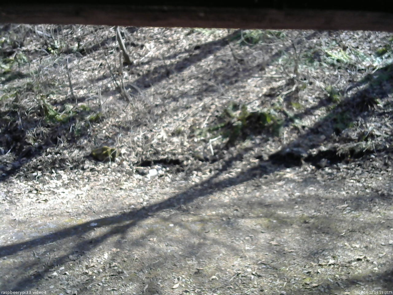 長野県菅平高原 ゆたか山荘 東側(坂下) 2026/04/12 14:15