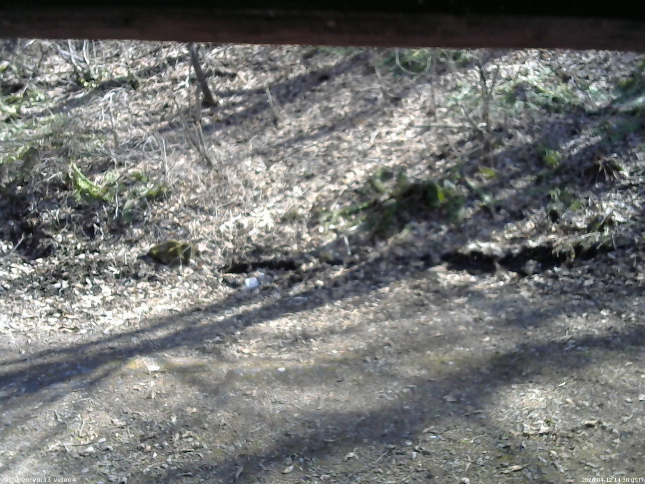 長野県菅平高原 ゆたか山荘 東側(坂下) 2026/04/12 14:30