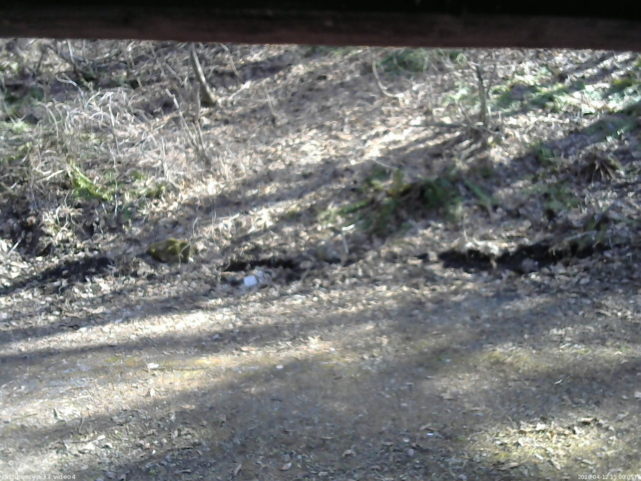 長野県菅平高原 ゆたか山荘 東側(坂下) 2026/04/12 15:00