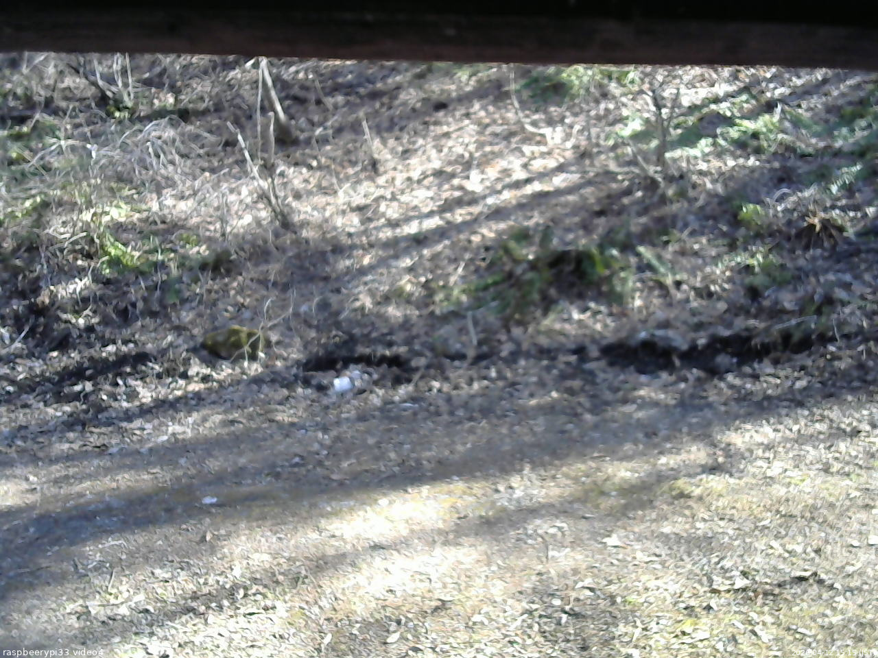長野県菅平高原 ゆたか山荘 東側(坂下) 2026/04/12 15:15