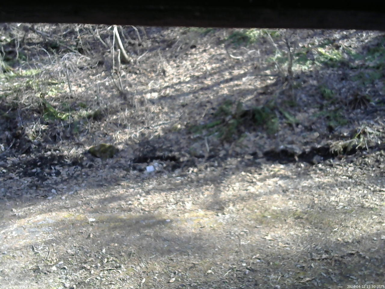 長野県菅平高原 ゆたか山荘 東側(坂下) 2026/04/12 15:30