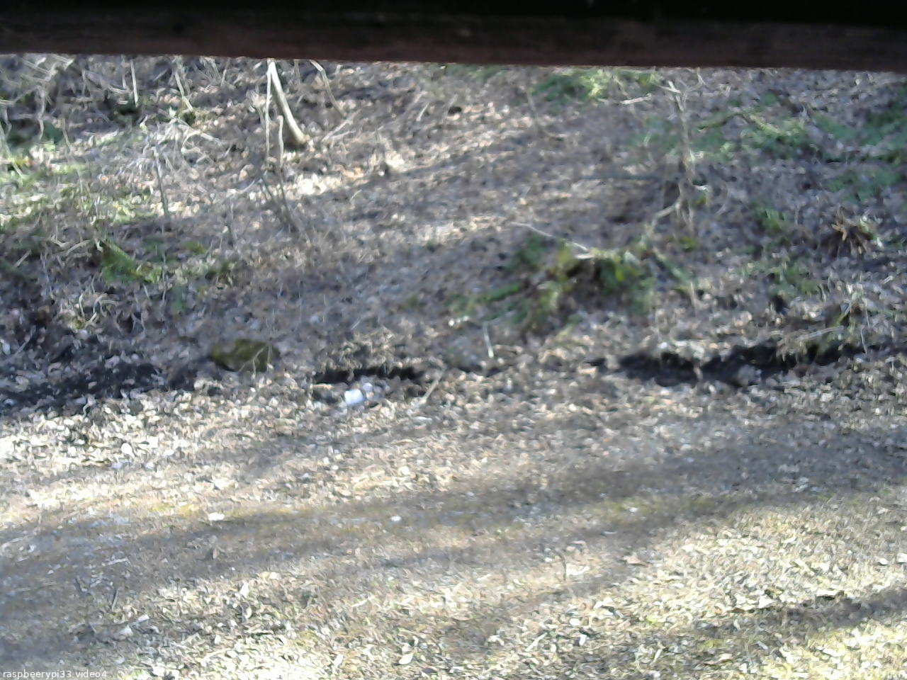 長野県菅平高原 ゆたか山荘 東側(坂下) 2026/04/12 15:45