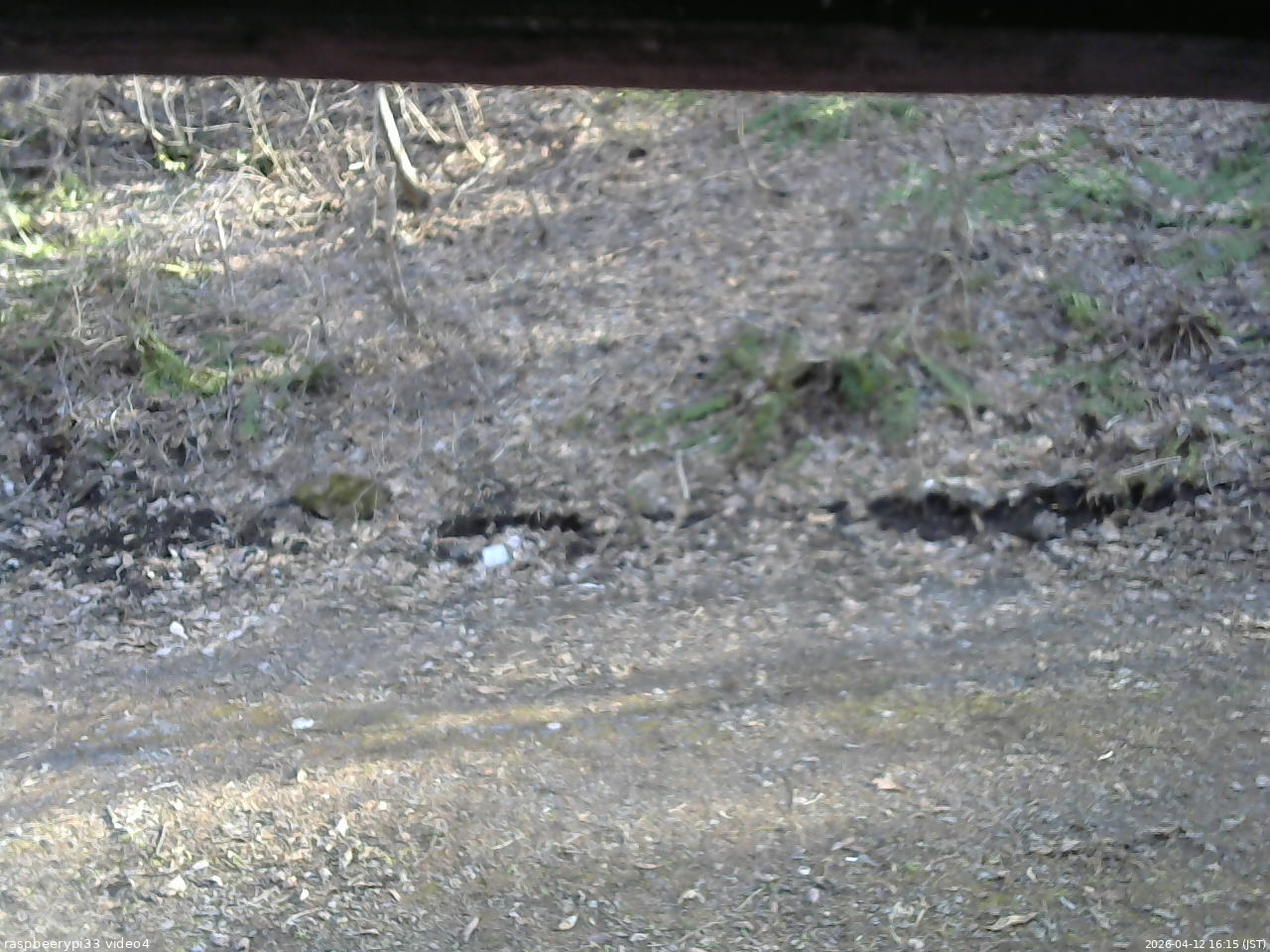 長野県菅平高原 ゆたか山荘 東側(坂下) 2026/04/12 16:15