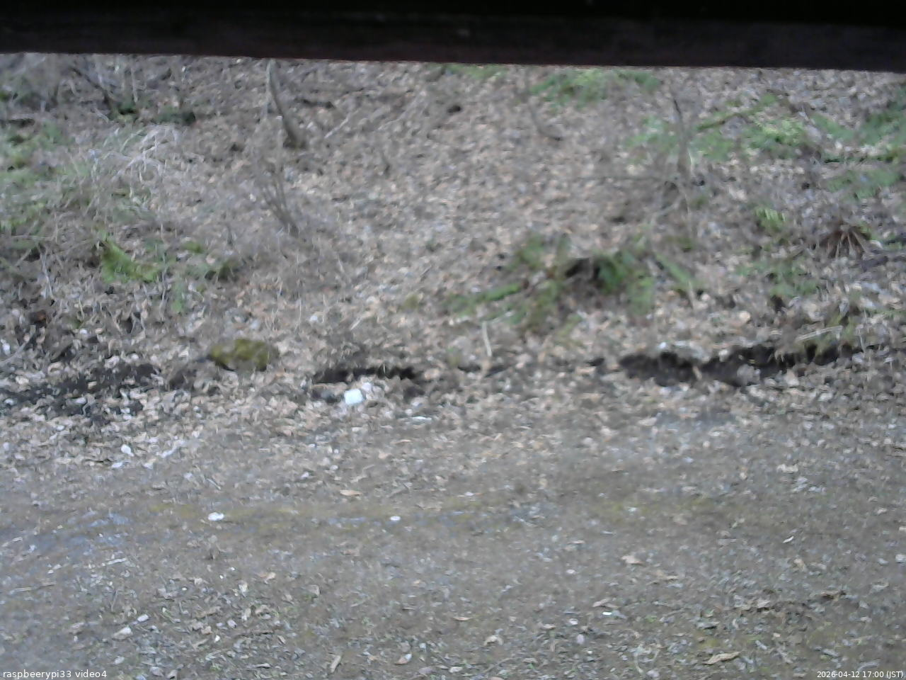 長野県菅平高原 ゆたか山荘 東側(坂下) 2026/04/12 17:00
