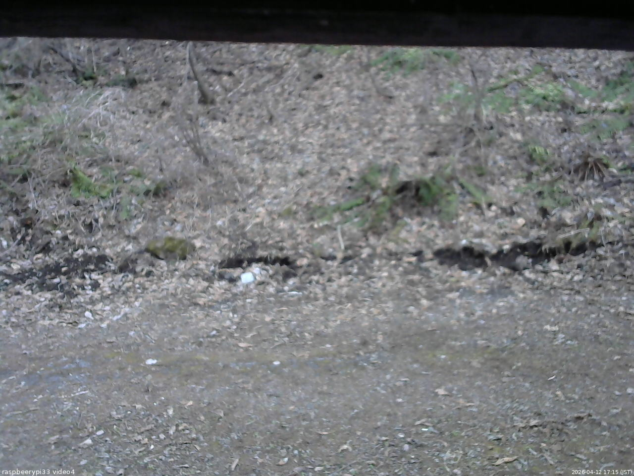 長野県菅平高原 ゆたか山荘 東側(坂下) 2026/04/12 17:15