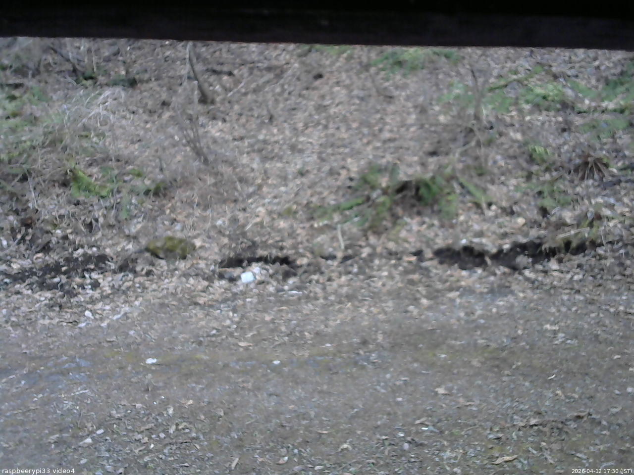 長野県菅平高原 ゆたか山荘 東側(坂下) 2026/04/12 17:30