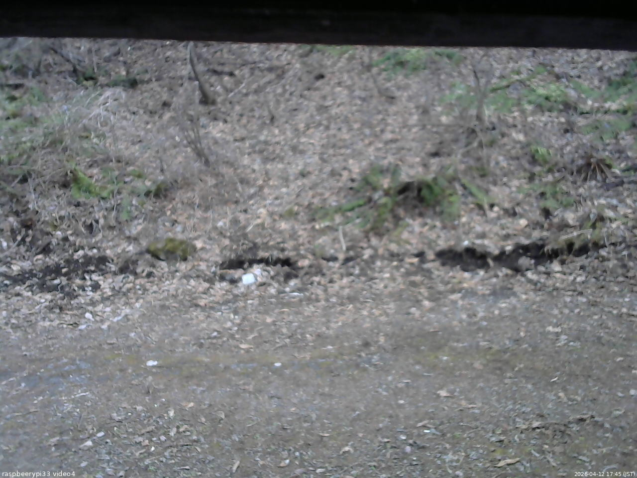 長野県菅平高原 ゆたか山荘 東側(坂下) 2026/04/12 17:45