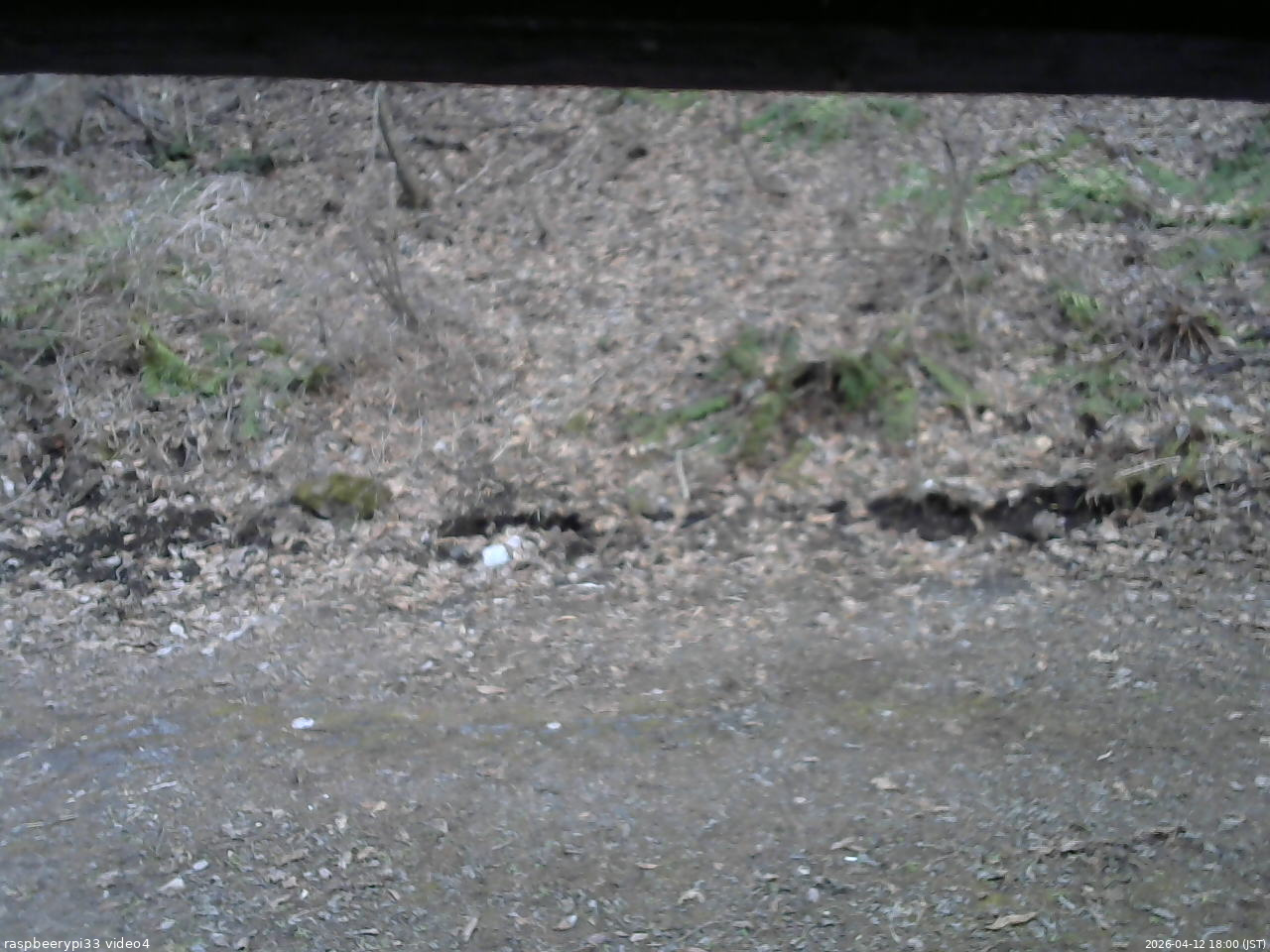 長野県菅平高原 ゆたか山荘 東側(坂下) 2026/04/12 18:00