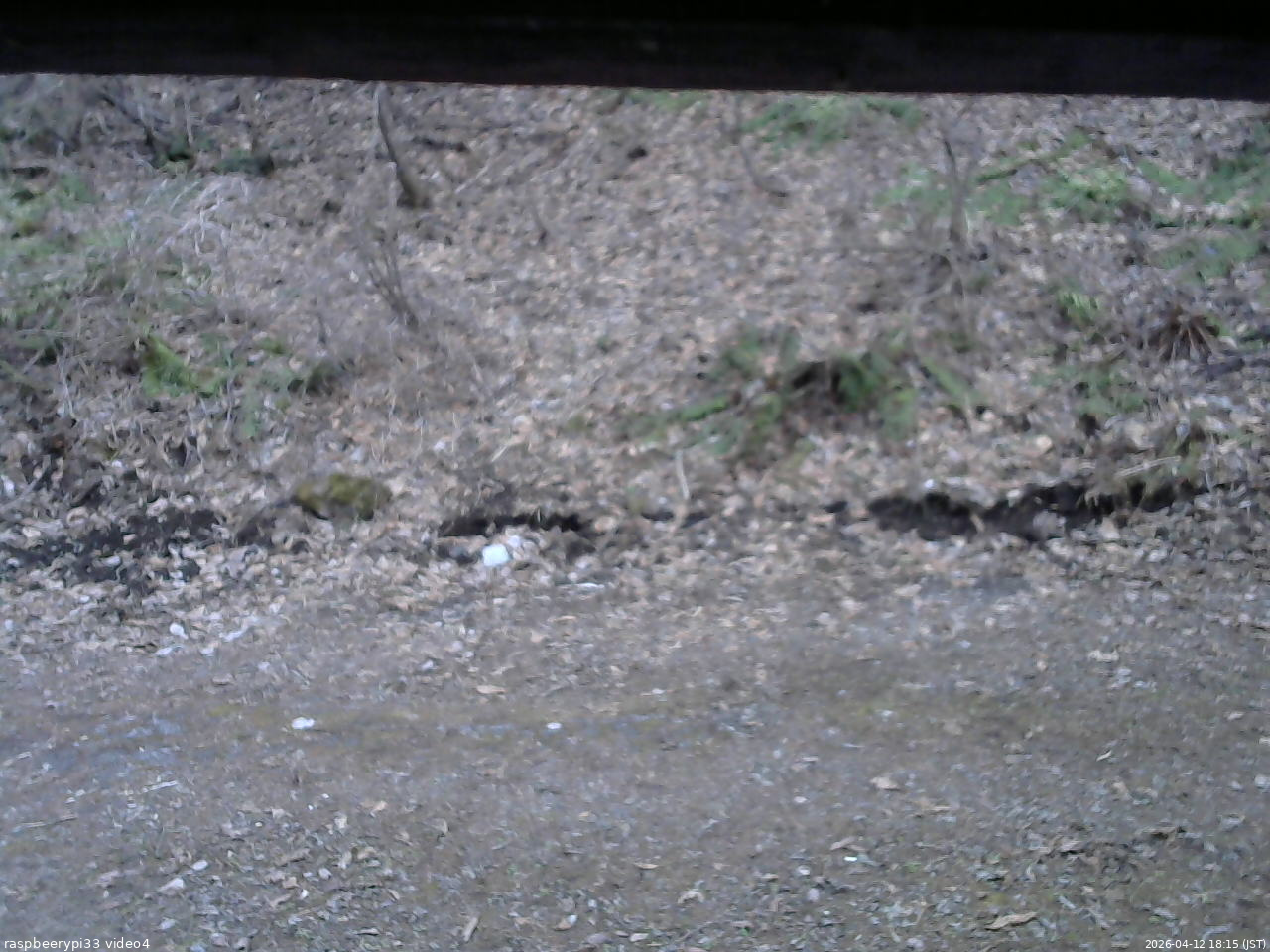 長野県菅平高原 ゆたか山荘 東側(坂下) 2026/04/12 18:15