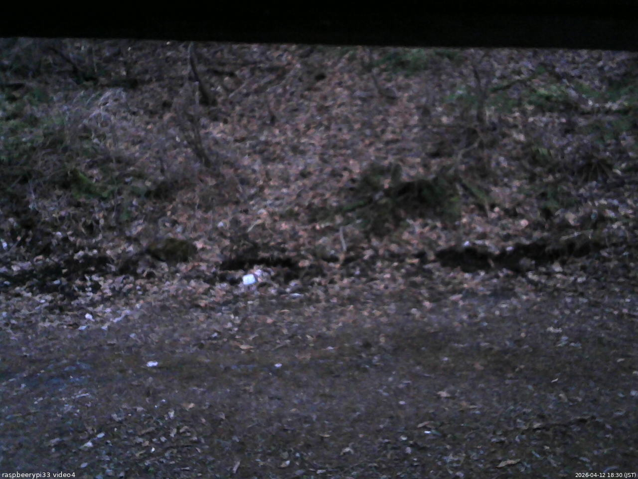 長野県菅平高原 ゆたか山荘 東側(坂下) 2026/04/12 18:30