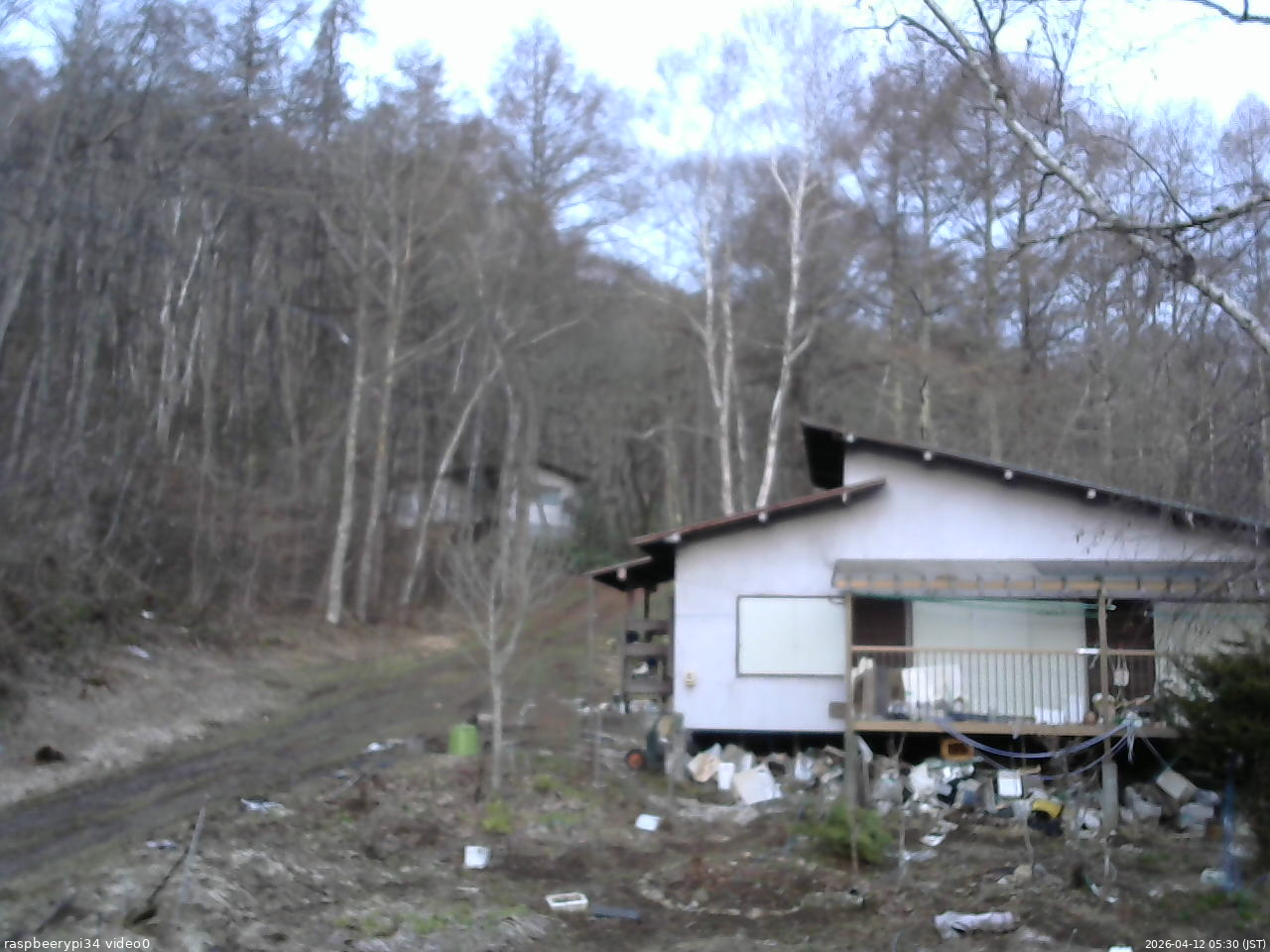 長野県菅平高原 ゆたか山荘 西側(坂上) 2026/04/12 05:30