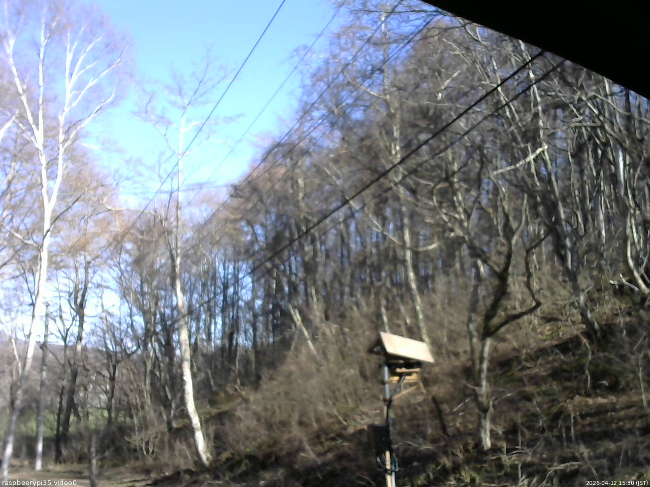 長野県菅平高原 ゆたか山荘 温度計 2026/04/12 15:30