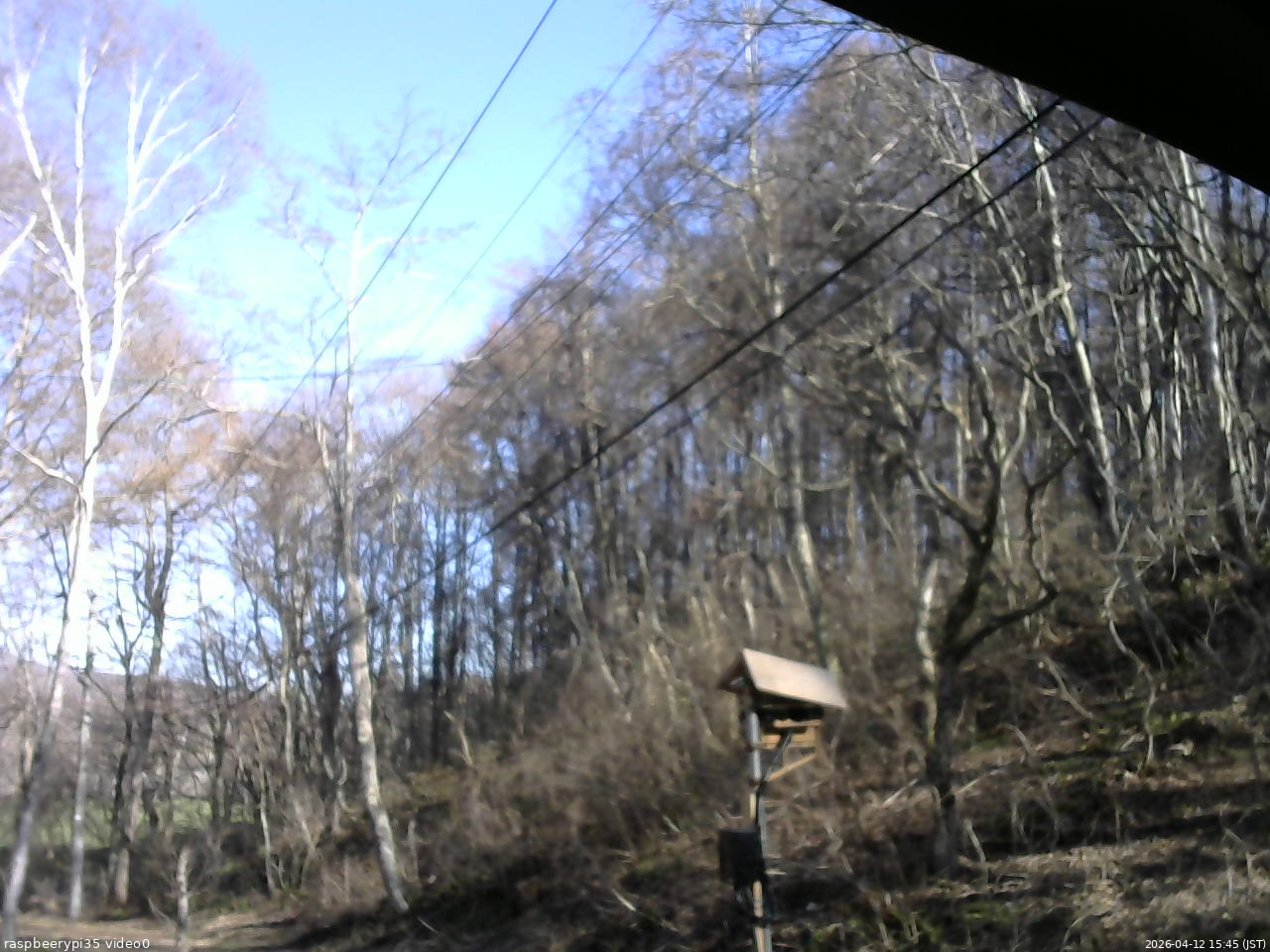 長野県菅平高原 ゆたか山荘 温度計 2026/04/12 15:45