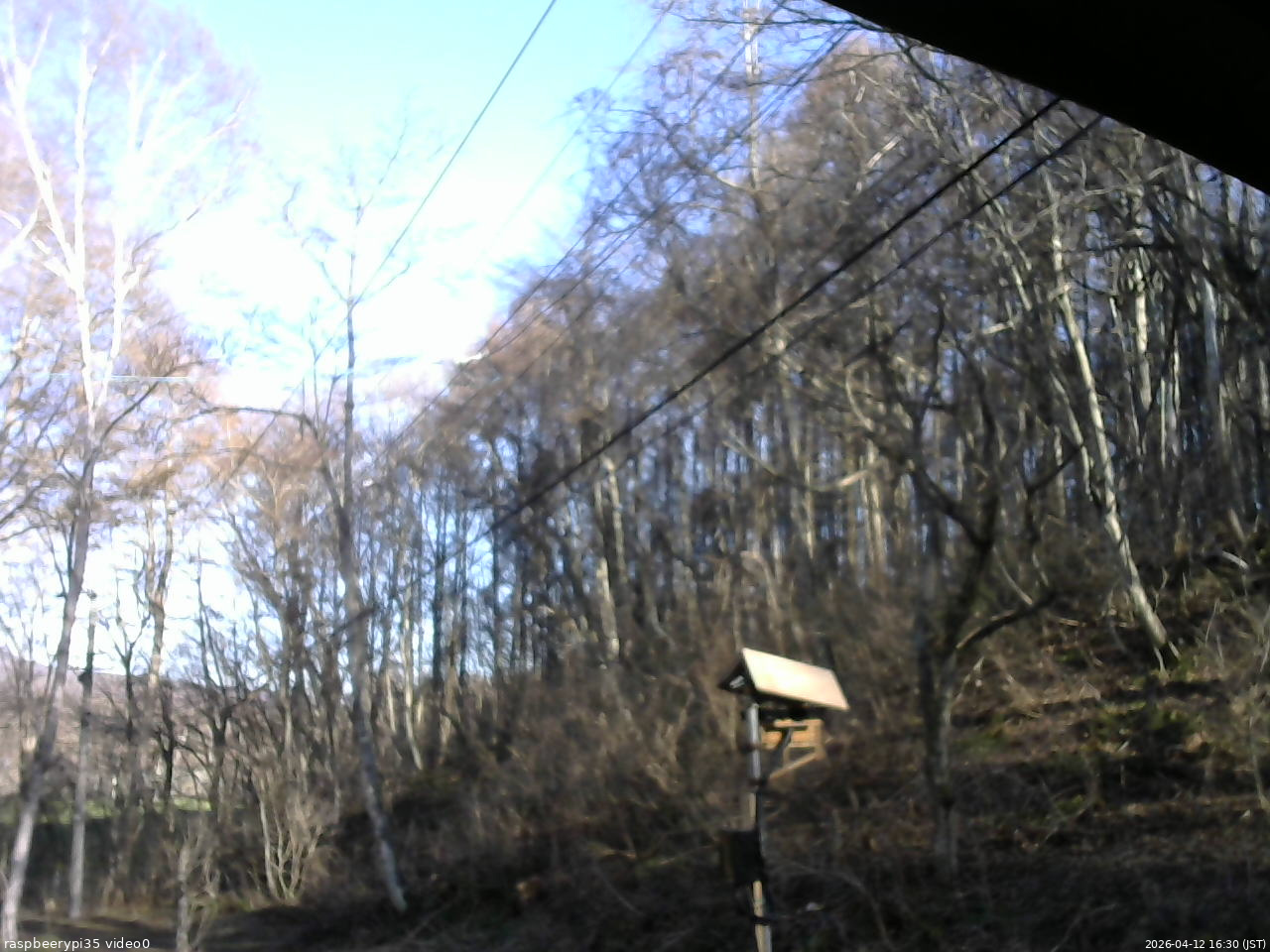 長野県菅平高原 ゆたか山荘 温度計 2026/04/12 16:30