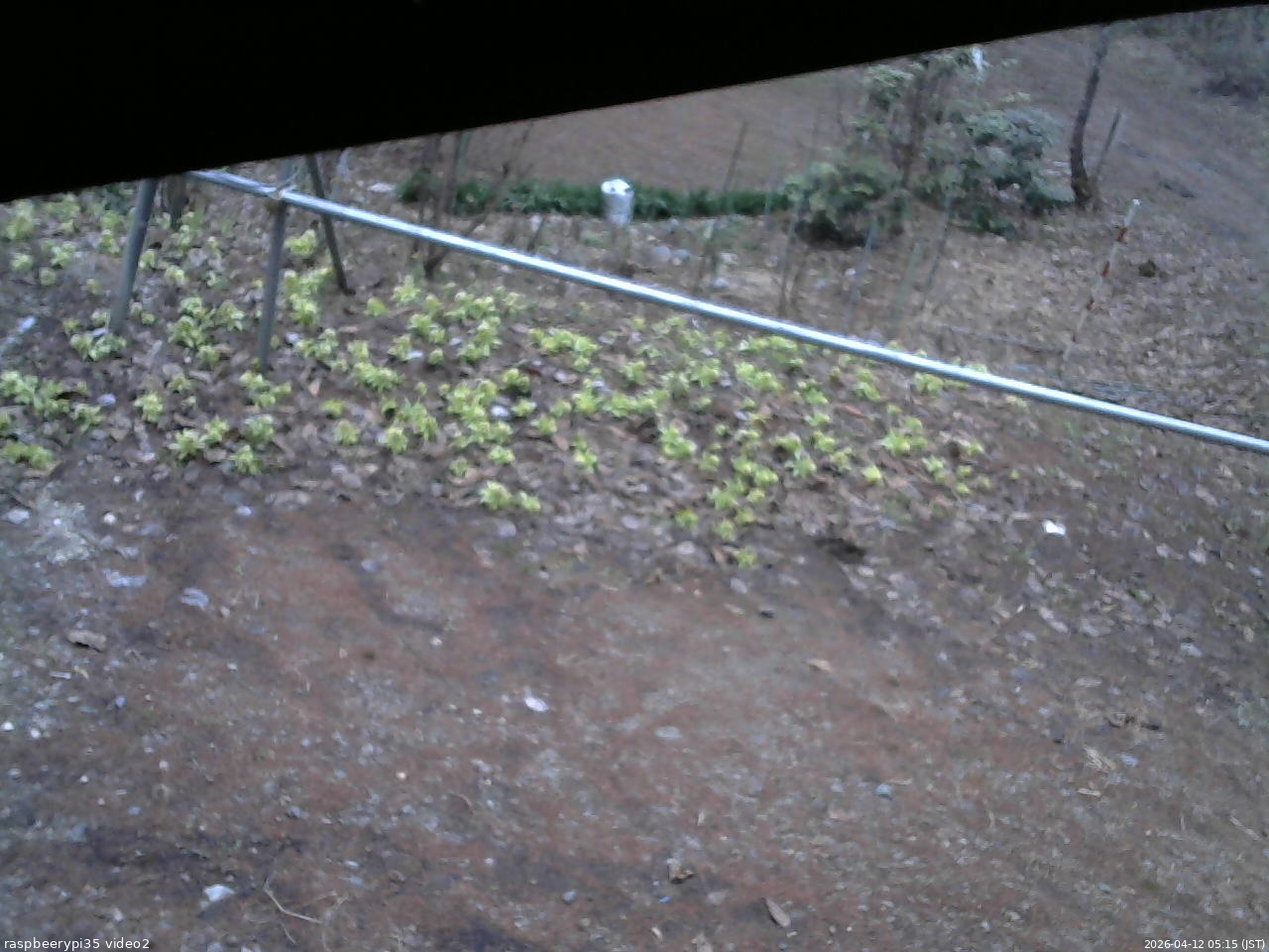 長野県菅平高原 ゆたか山荘 駐車場 2026/04/12 05:15