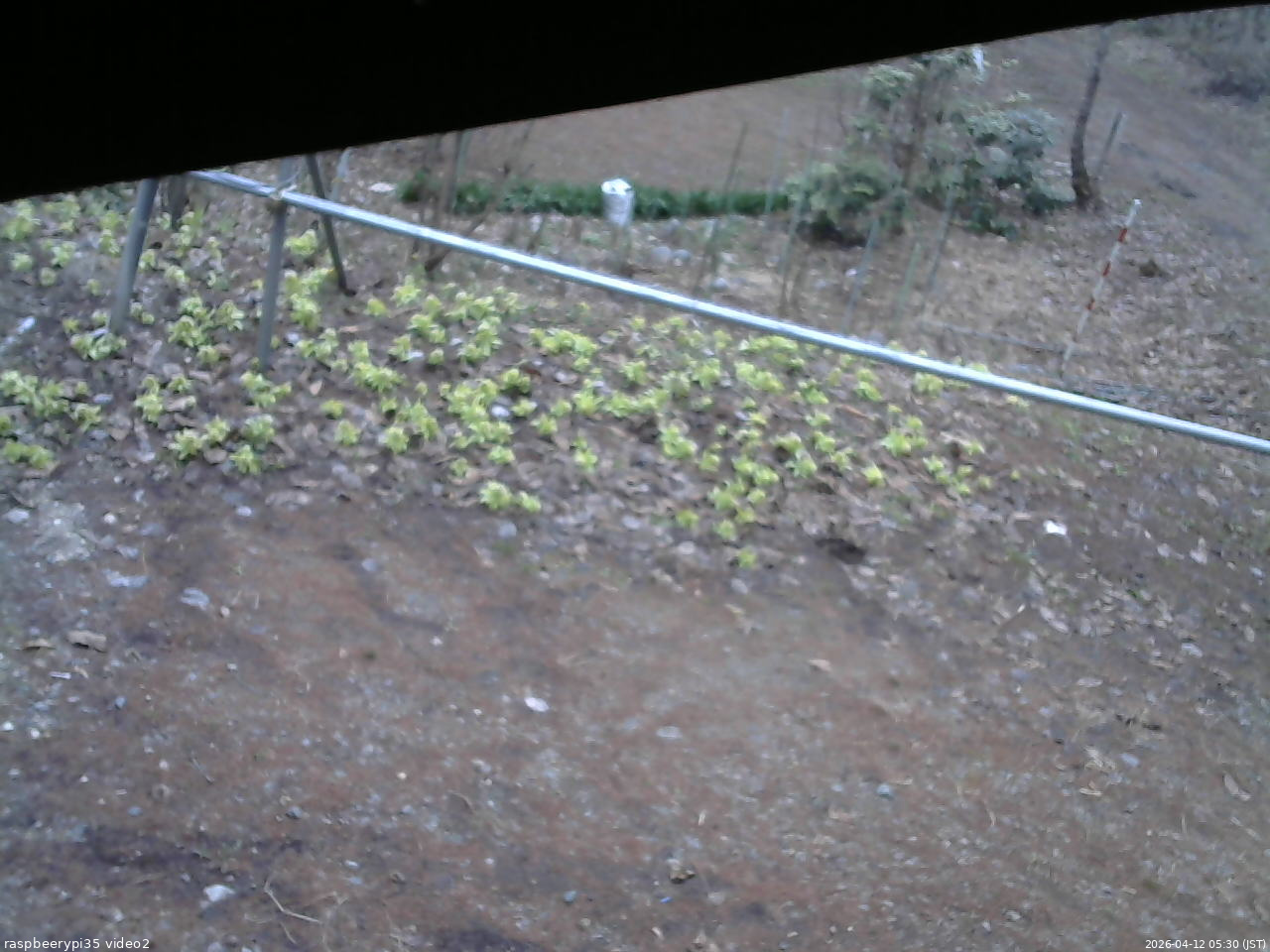 長野県菅平高原 ゆたか山荘 駐車場 2026/04/12 05:30