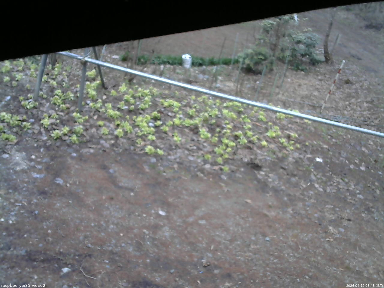 長野県菅平高原 ゆたか山荘 駐車場 2026/04/12 05:45