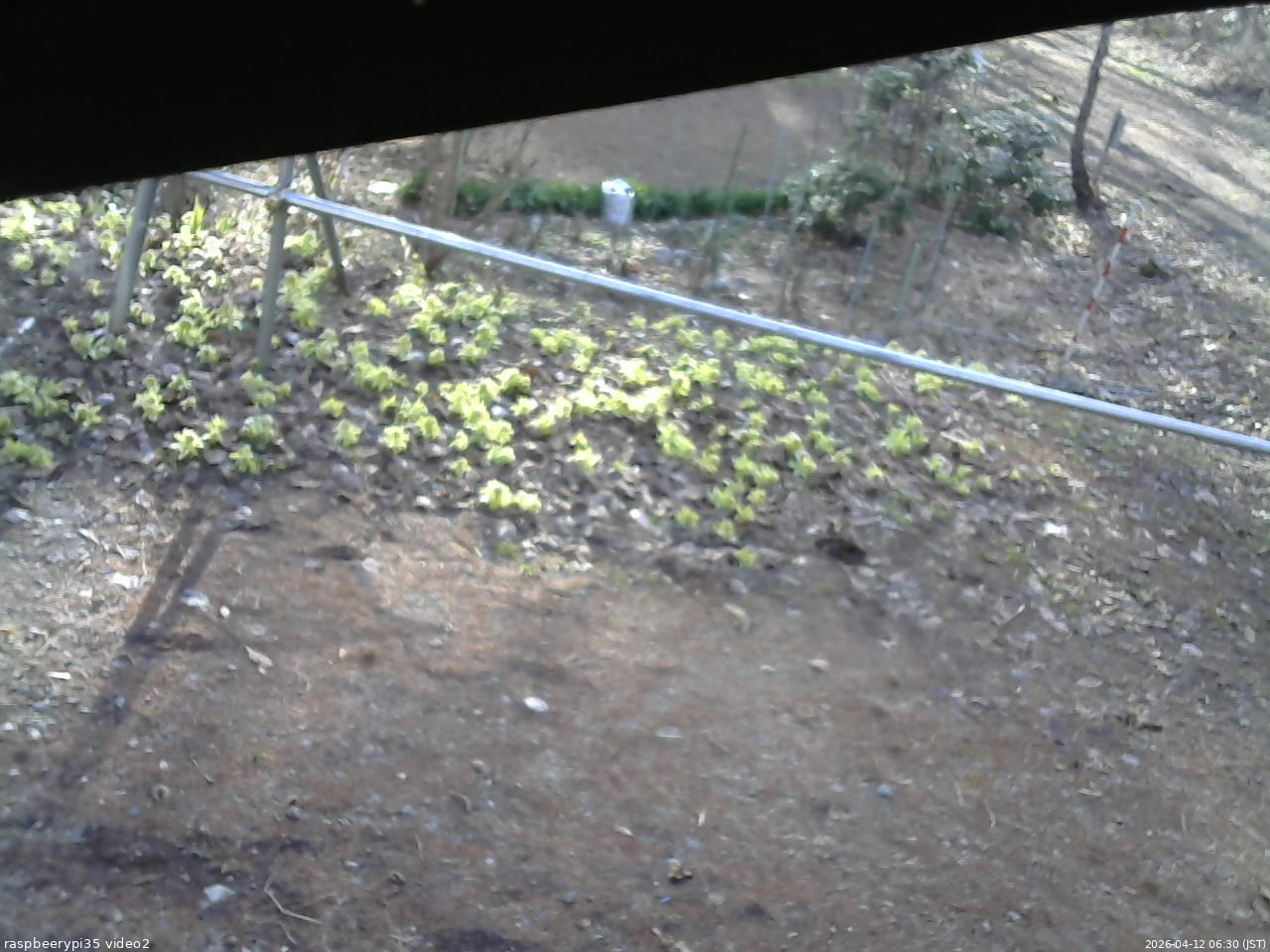 長野県菅平高原 ゆたか山荘 駐車場 2026/04/12 06:30