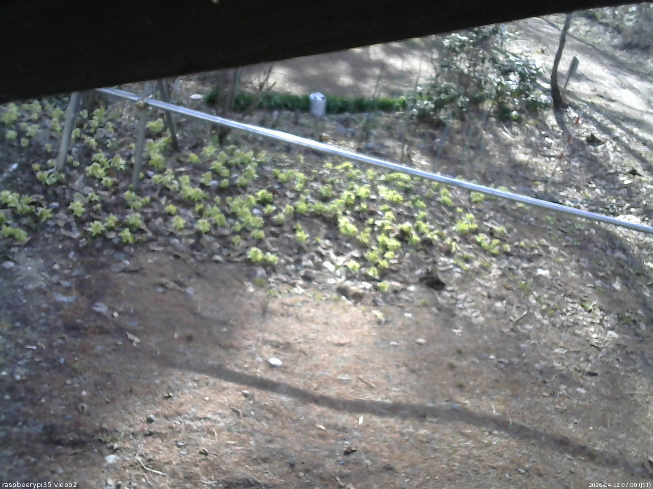 長野県菅平高原 ゆたか山荘 駐車場 2026/04/12 07:00