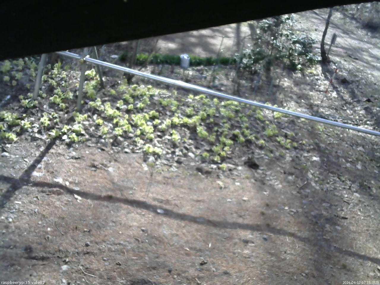 長野県菅平高原 ゆたか山荘 駐車場 2026/04/12 07:15