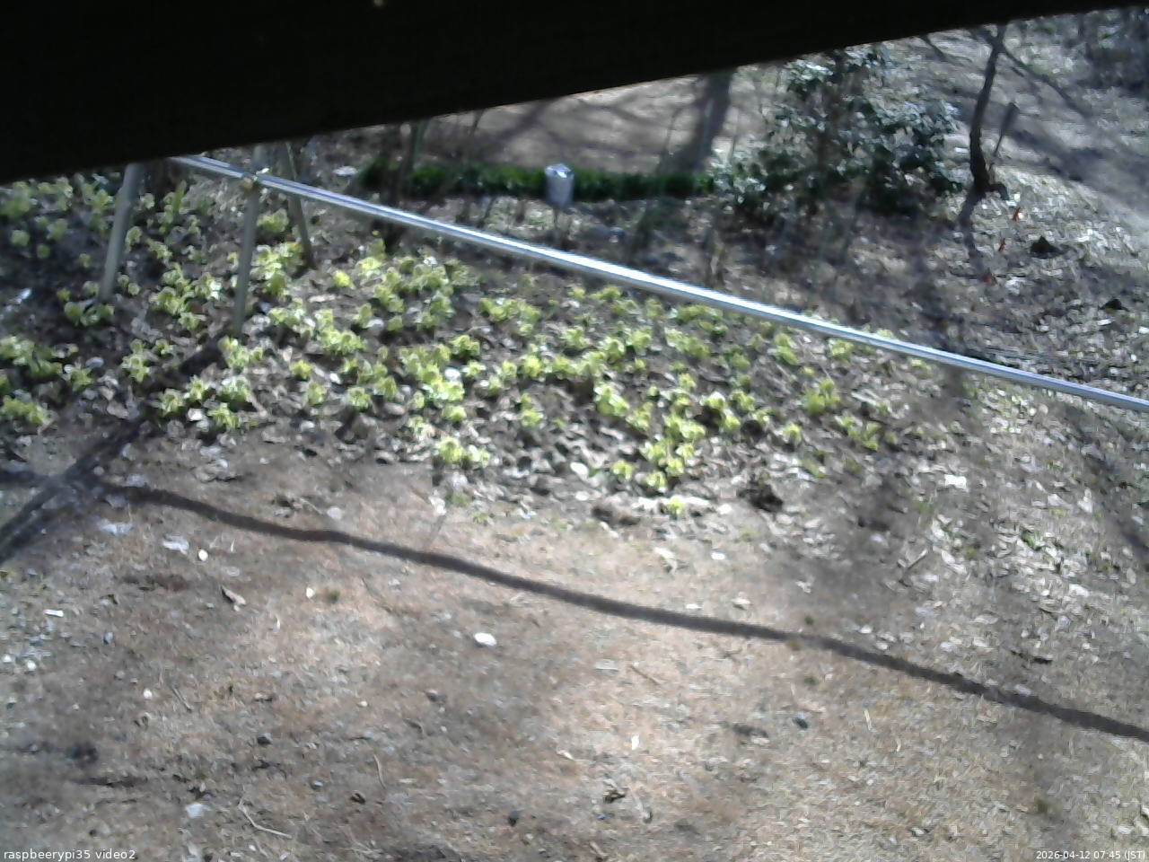 長野県菅平高原 ゆたか山荘 駐車場 2026/04/12 07:45