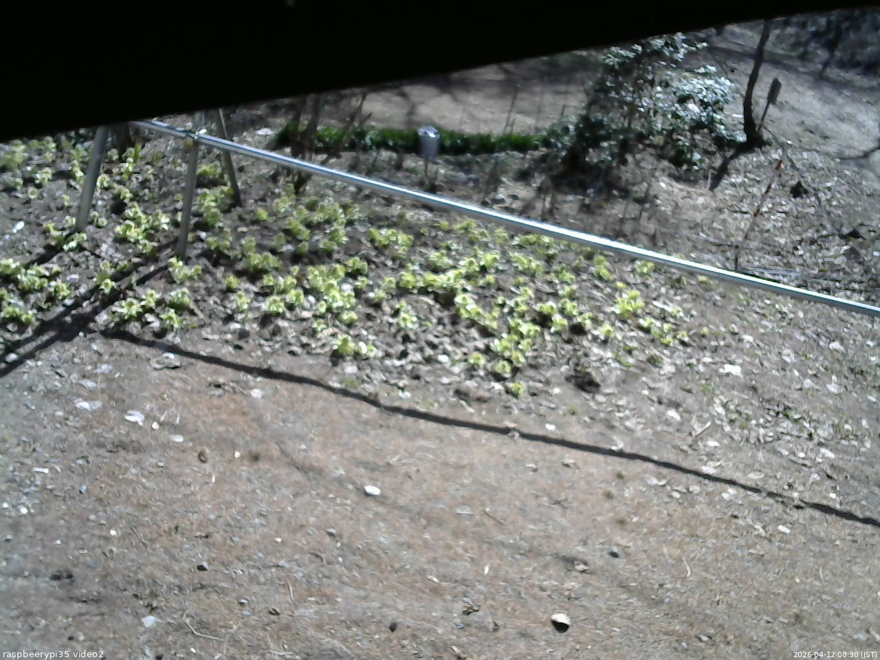 長野県菅平高原 ゆたか山荘 駐車場 2026/04/12 08:30