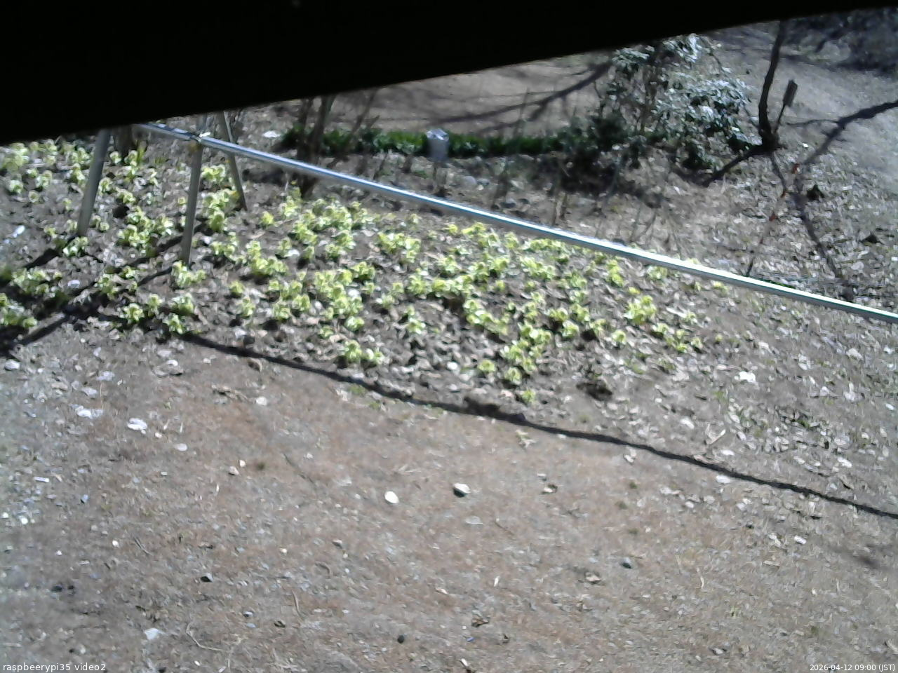 長野県菅平高原 ゆたか山荘 駐車場 2026/04/12 09:00