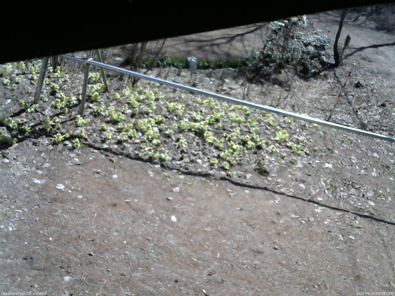 長野県菅平高原 ゆたか山荘 駐車場 2026/04/12 09:15