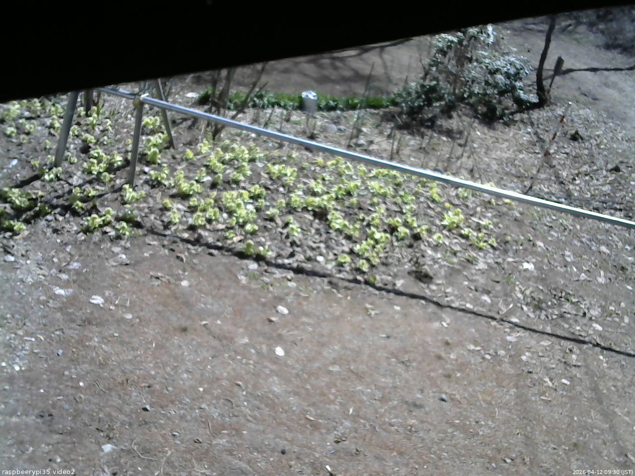 長野県菅平高原 ゆたか山荘 駐車場 2026/04/12 09:30